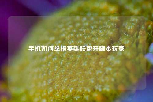手机如何举报英雄联盟开脚本玩家
