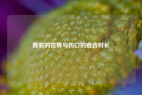撕裂的世界与伤口的愈合时长