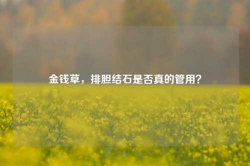 金钱草，排胆结石是否真的管用？