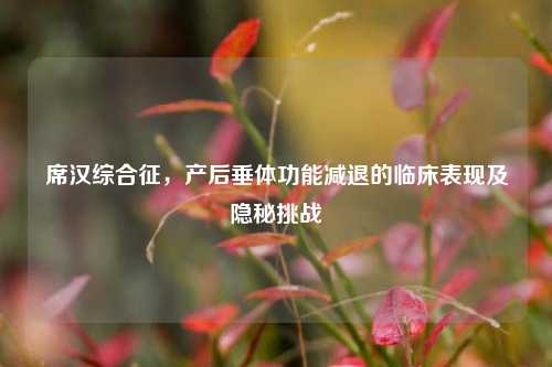 席汉综合征，产后垂体功能减退的临床表现及隐秘挑战