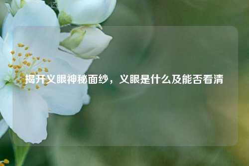 揭开义眼神秘面纱，义眼是什么及能否看清