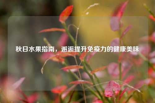 秋日水果指南，邂逅提升免疫力的健康美味