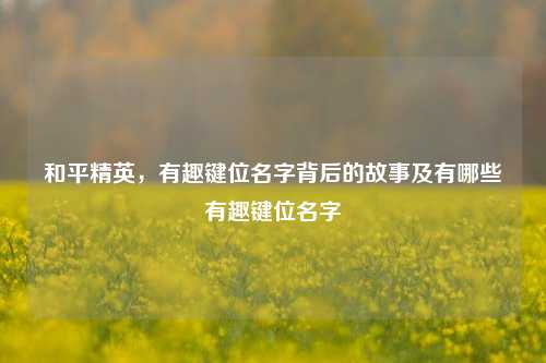 和平精英，有趣键位名字背后的故事及有哪些有趣键位名字