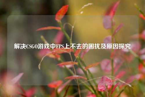 解决CSGO游戏中FPS上不去的困扰及原因探究