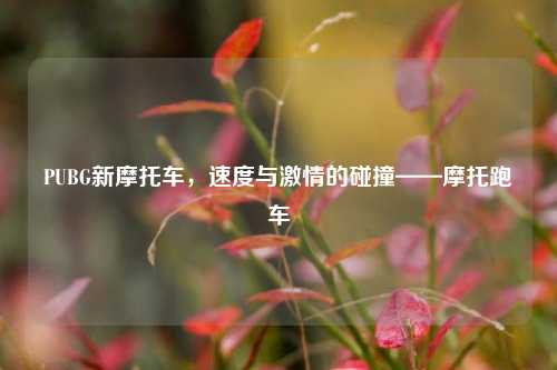 PUBG新摩托车，速度与***的碰撞——摩托跑车