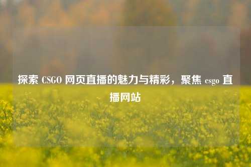 探索 CSGO 网页直播的魅力与精彩，聚焦 csgo 直播网站