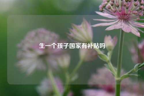 生一个孩子国家有补贴吗