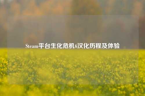 Steam平台生化危机6汉化历程及体验