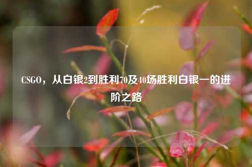 CSGO，从白银2到胜利70及40场胜利白银一的进阶之路