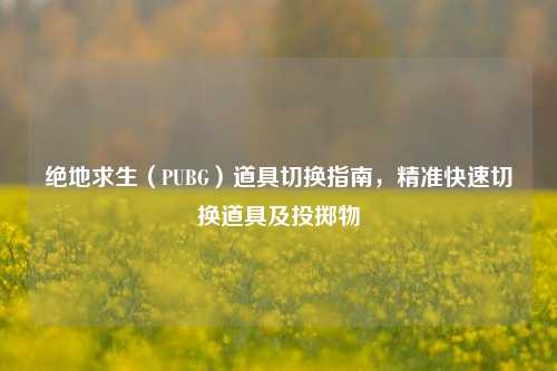 绝地求生（PUBG）道具切换指南，精准快速切换道具及投掷物