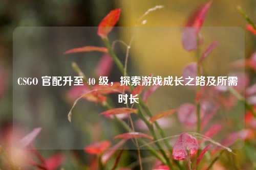 CSGO 官配升至 40 级，探索游戏成长之路及所需时长
