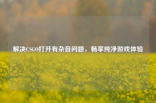 解决CSGO打开有杂音问题，畅享纯净游戏体验
