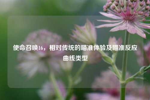 使命召唤16，相对传统的瞄准体验及瞄准反应曲线类型