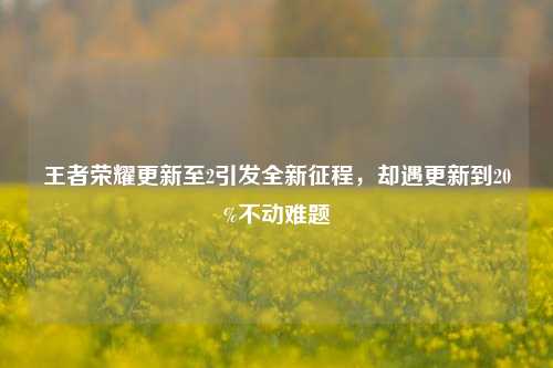 王者荣耀更新至2引发全新征程，却遇更新到20%不动难题