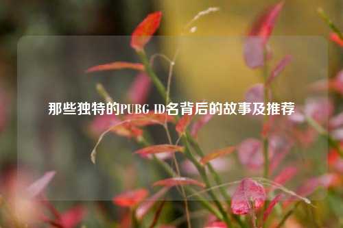 那些独特的PUBG ID名背后的故事及推荐