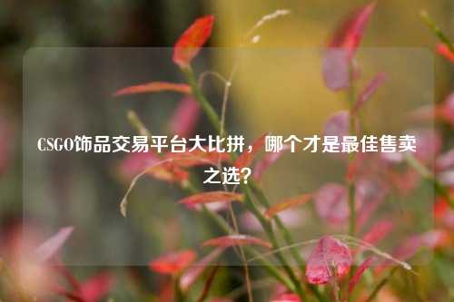 CSGO饰品交易平台大比拼，哪个才是更佳售卖之选？
