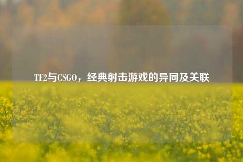 TF2与CSGO，经典射击游戏的异同及关联