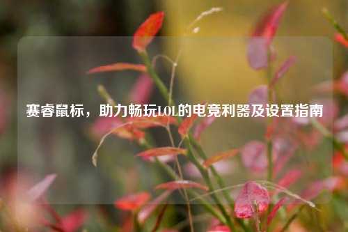 赛睿鼠标，助力畅玩LOL的电竞利器及设置指南