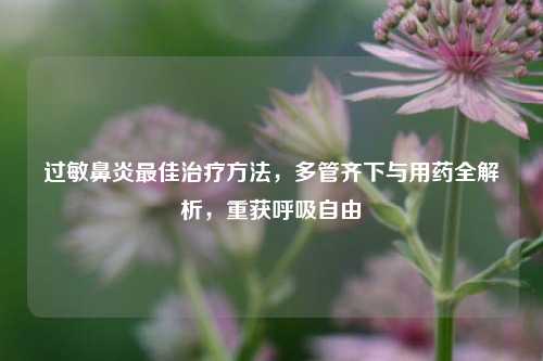 过敏鼻炎更佳治疗 *** ，多管齐下与用药全解析，重获呼吸自由