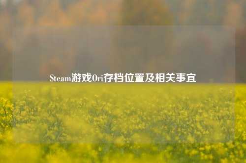 Steam游戏Ori存档位置及相关事宜