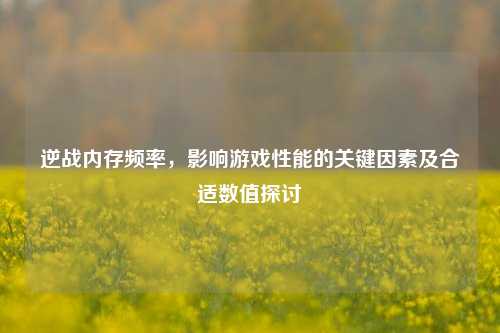 逆战内存频率，影响游戏性能的关键因素及合适数值探讨