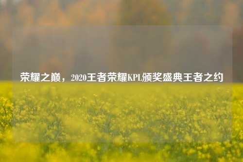 荣耀之巅，2020王者荣耀KPL颁奖盛典王者之约