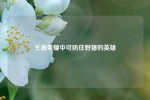 王者荣耀中可防住野猪的英雄