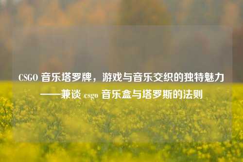 CSGO 音乐塔罗牌，游戏与音乐交织的独特魅力——兼谈 csgo 音乐盒与塔罗斯的法则