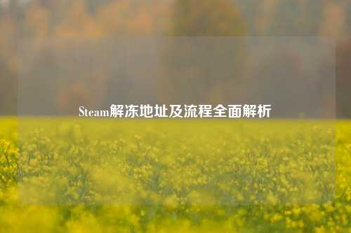 Steam解冻地址及流程全面解析