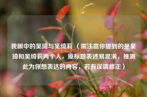 我眼中的吴琦与吴绮莉 （需注意你提到的是吴琦和吴绮莉两个人，原标题表述易混淆，推测此为你想表达的内容，若有误请修正）