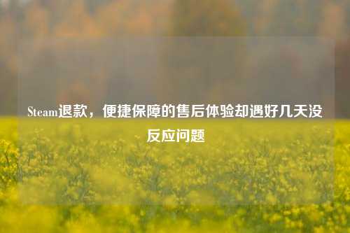 Steam退款，便捷保障的售后体验却遇好几天没反应问题