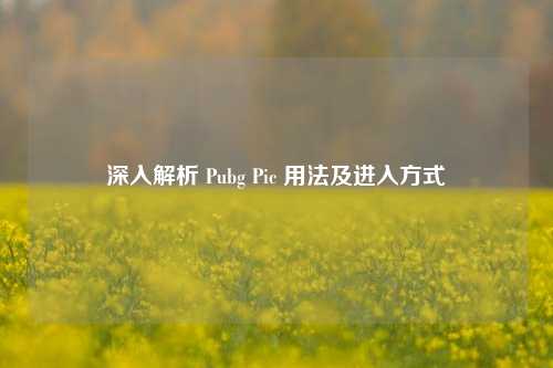 深入解析 Pubg Pic 用法及进入方式
