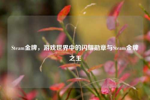 Steam金牌，游戏世界中的闪耀勋章与Steam金牌之王