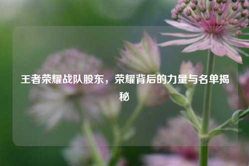 王者荣耀战队股东，荣耀背后的力量与名单揭秘