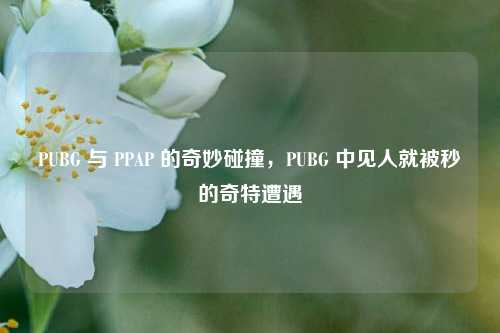 PUBG 与 PPAP 的奇妙碰撞，PUBG 中见人就被秒的奇特遭遇