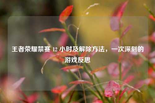 王者荣耀禁赛 12 小时及解除 *** ，一次深刻的游戏反思