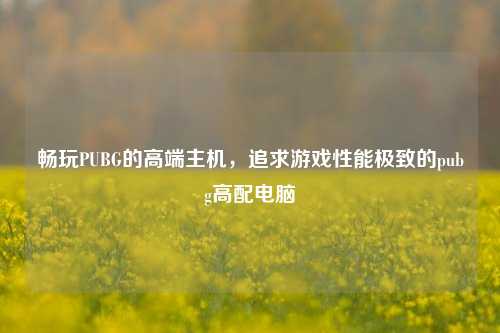 畅玩PUBG的高端主机，追求游戏性能极致的pubg高配电脑