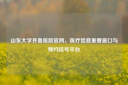 山东大学齐鲁医院官网，医疗信息重要窗口与预约挂号平台