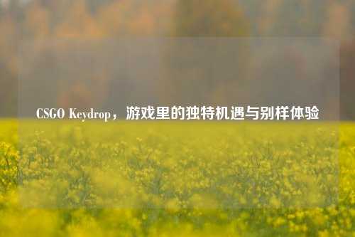 CSGO Keydrop，游戏里的独特机遇与别样体验