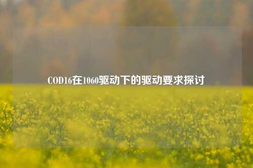 COD16在1060驱动下的驱动要求探讨