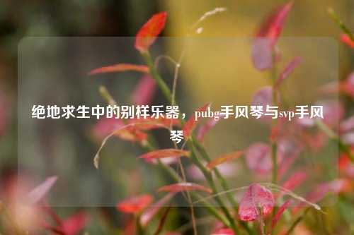 绝地求生中的别样乐器，pubg手风琴与svp手风琴