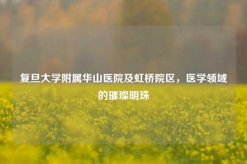 复旦大学附属华山医院及虹桥院区，医学领域的璀璨明珠