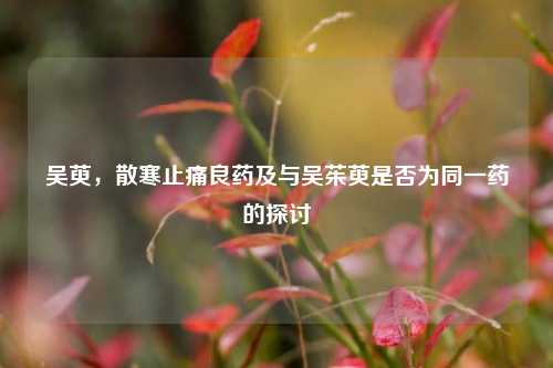 吴萸，散寒止痛良药及与吴茱萸是否为同一药的探讨