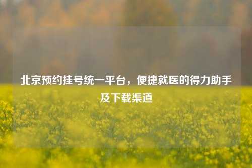 北京预约挂号统一平台，便捷就医的得力助手及下载渠道