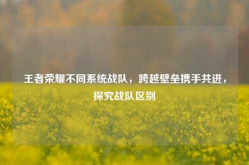 王者荣耀不同系统战队，跨越壁垒携手共进，探究战队区别