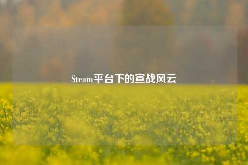 Steam平台下的宣战风云