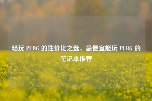畅玩 PUBG 的性价比之选，更便宜能玩 PUBG 的笔记本推荐