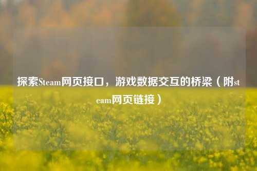 探索Steam网页接口，游戏数据交互的桥梁（附steam网页链接）