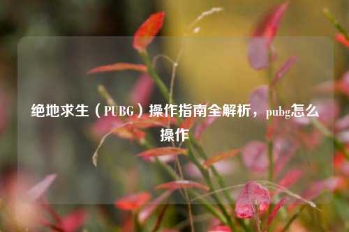绝地求生（PUBG）操作指南全解析，pubg怎么操作