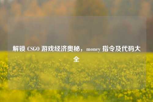 解锁 CSGO 游戏经济奥秘，money 指令及代码大全